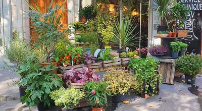 Fonds de commerce - Magasins - 39 m²