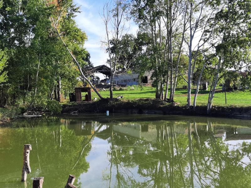 Maison - 261 m² - 7 pièces