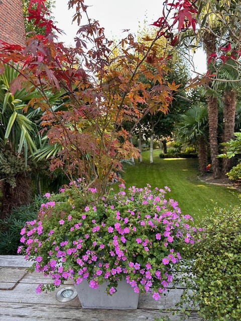 Maison - 200 m² - 6 pièces