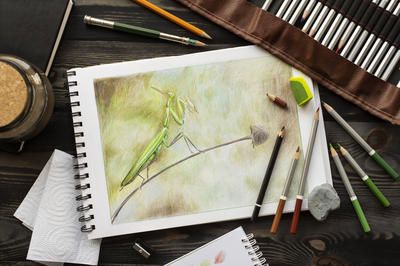 Exposition des dessins des ateliers d'art plastique de Familles Rurales