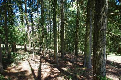 Terrain de loisirs - 2 663 m²