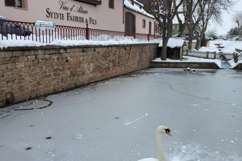 Noël gourmand du vigneron