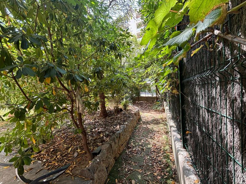 Appartement - 13 m² - 1 pièce