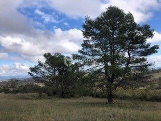 Terrain de loisirs - 26 000 m²