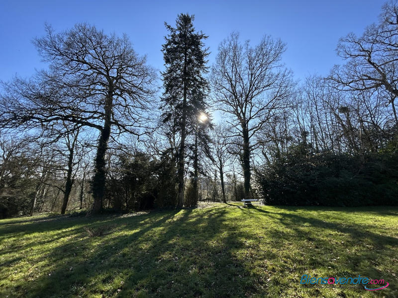 Château - 632 m² - 12 pièces