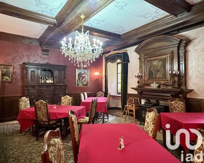 Château - 511 m² - 15 pièces