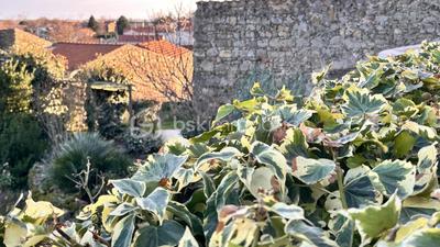 Maison en pierre - 90 m² - 4 pièces