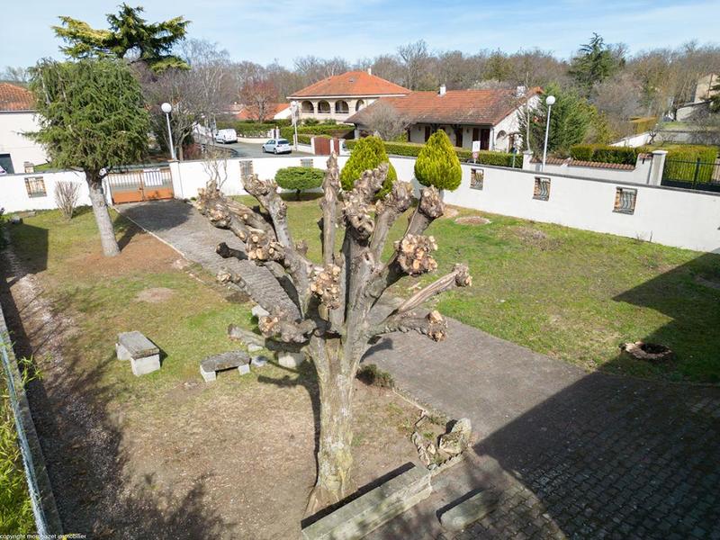 Terrain constructible - 547 m²