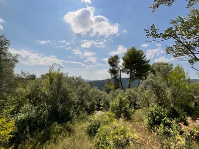 Terrain constructible - 3 015 m²