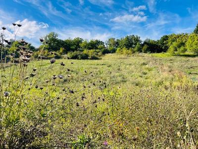 Terrain constructible - 1 780 m²