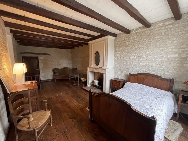 Viager - Maison ancienne - 550 m² - 12 pièces