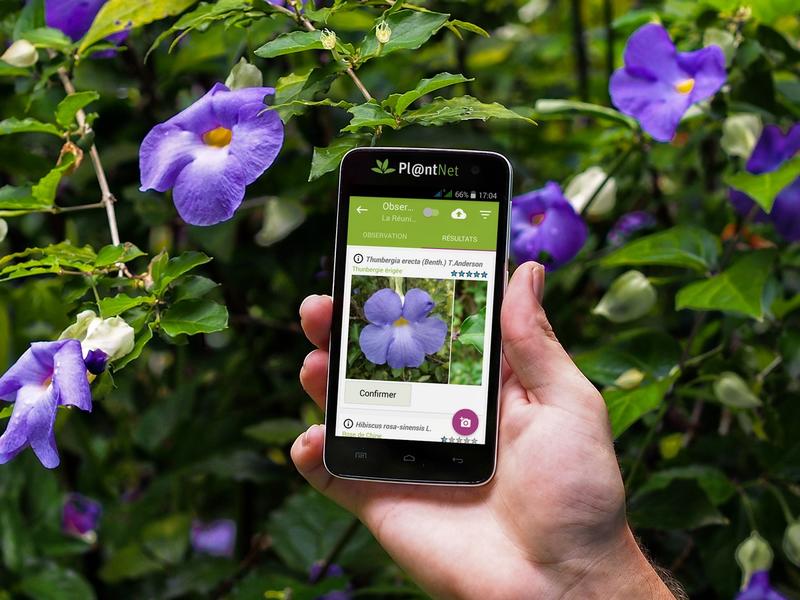 L'Abc du Haut-Minervois - Conference Sur la Flore