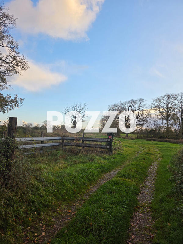 Terrain - 96 249 m²