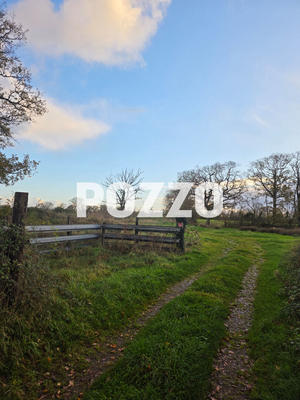 Terrain - 96 249 m²