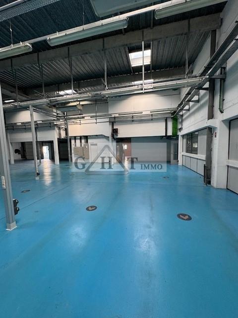 Entrepôt - 1 800 m²
