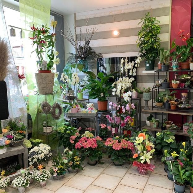 Le Petit Mont Fleuri