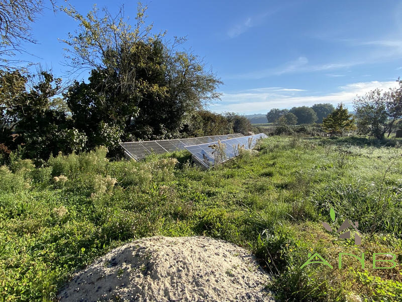 Ferme - 65 m² - 4 pièces