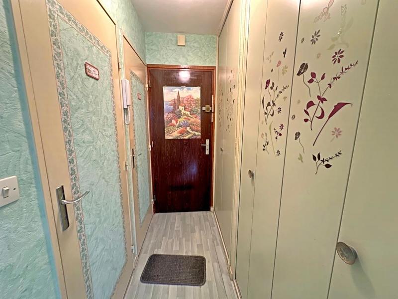 Studio - 31 m² - 1 pièce