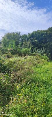 Terrain industriel - 408 m²