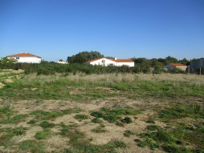 Terrain - 379 m²