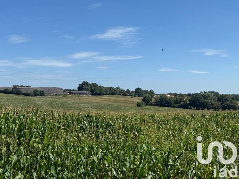 Maison - 208 m² - 5 pièces