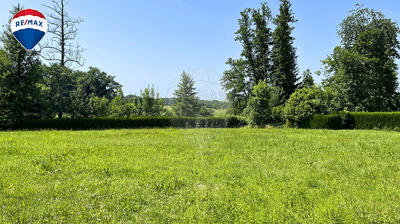 Terrain - 1 445 m²