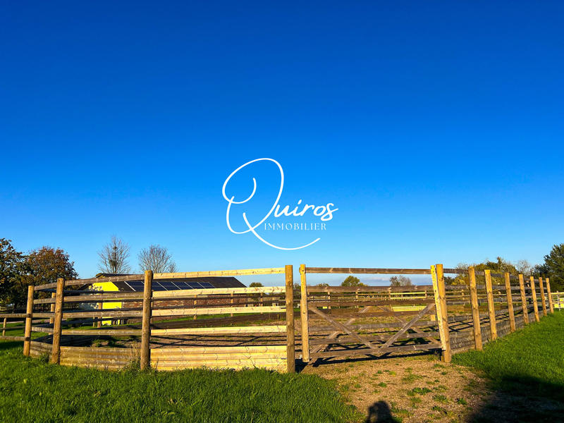 Maison - 290 m² - 8 pièces