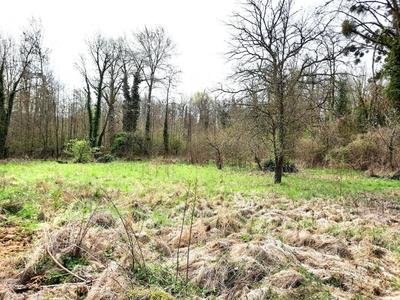 Terrain constructible - 1 700 m²