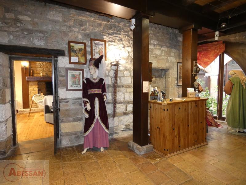 Maison - 560 m² - 13 pièces