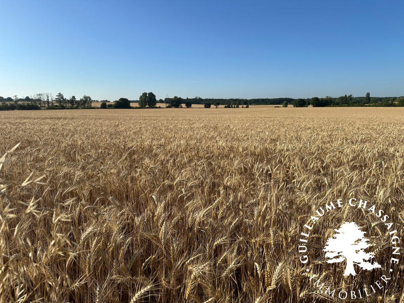 Terrain - 150 000 m²