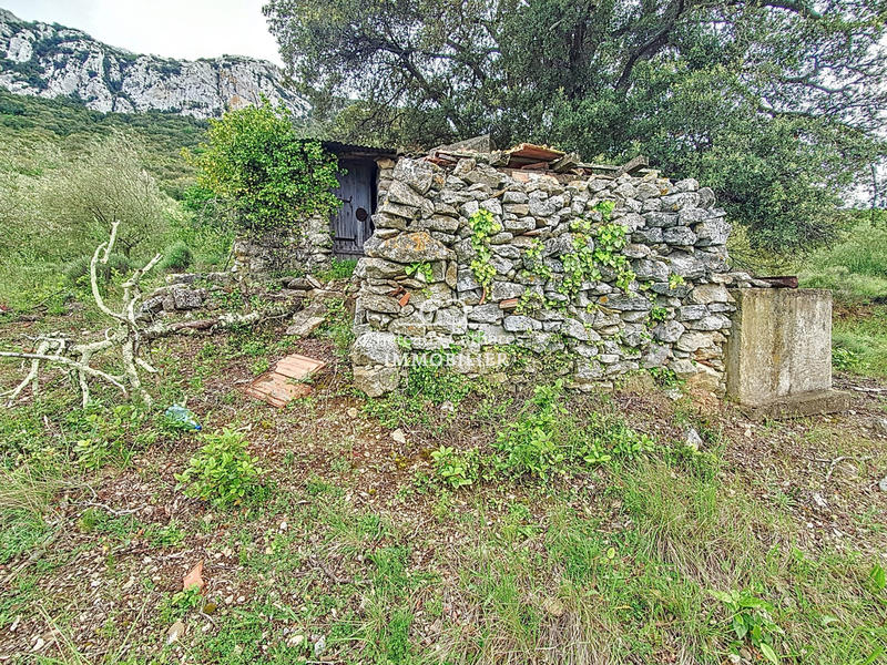 Terrain agricole - 51 314 m²