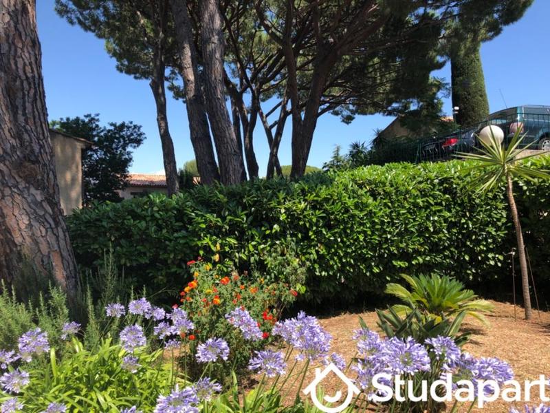 Chambre - 15 m² - 1 pièce