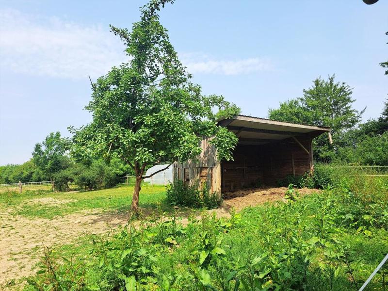 Maison - 165 m² - 7 pièces