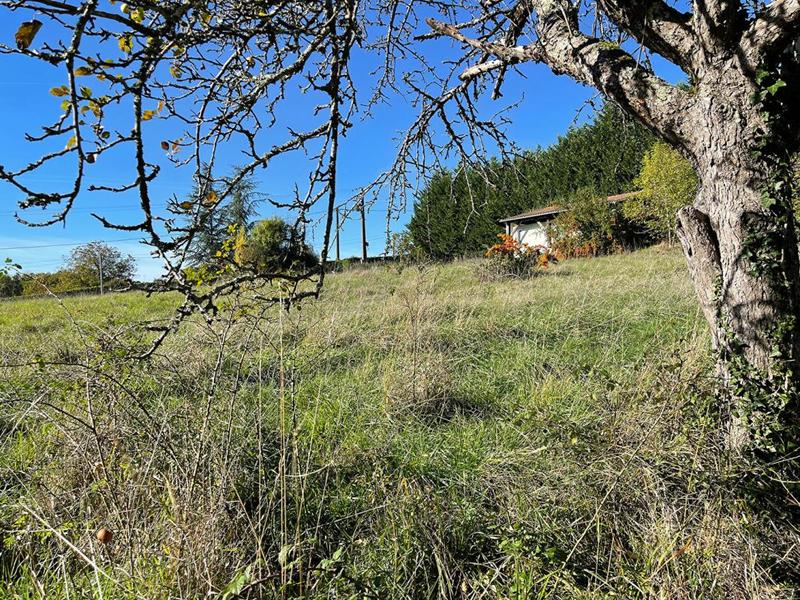 Terrain constructible - 3 039 m²