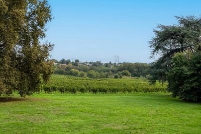 Château - 600 m² - 12 pièces