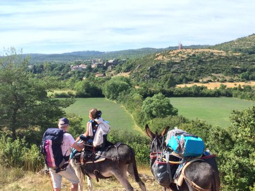 Sherp'Ânes les ânes du Causse