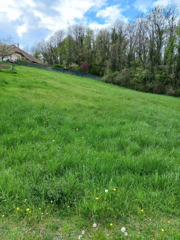 Terrain constructible - 1 587 m²
