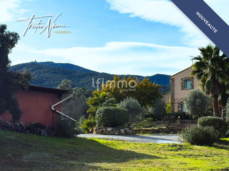 Mas - 260 m² - 7 pièces