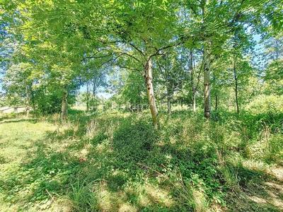 Terrain constructible - 2 591 m²