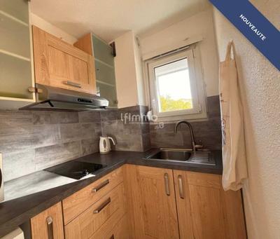 Studio - 24 m² - 1 pièce