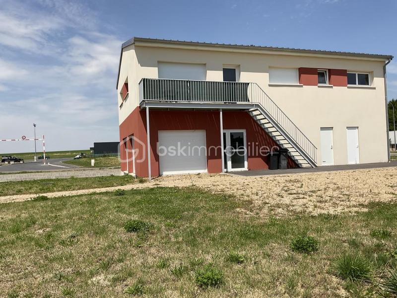 Bureau - 279 m² - 7 pièces