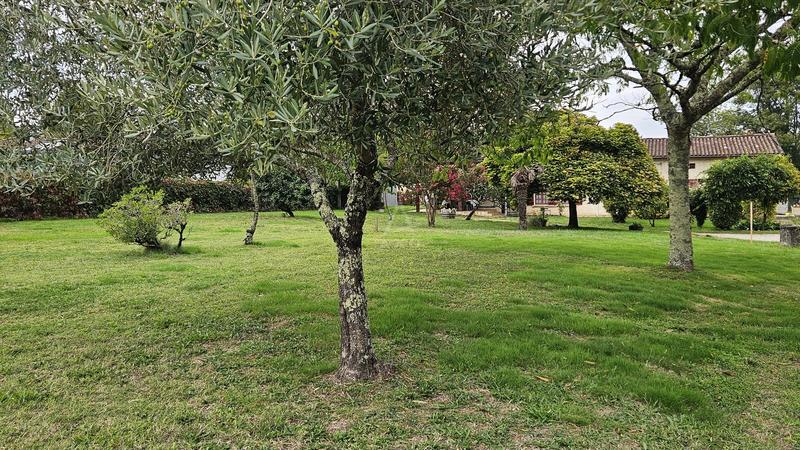 Maison - 124 m² - 5 pièces