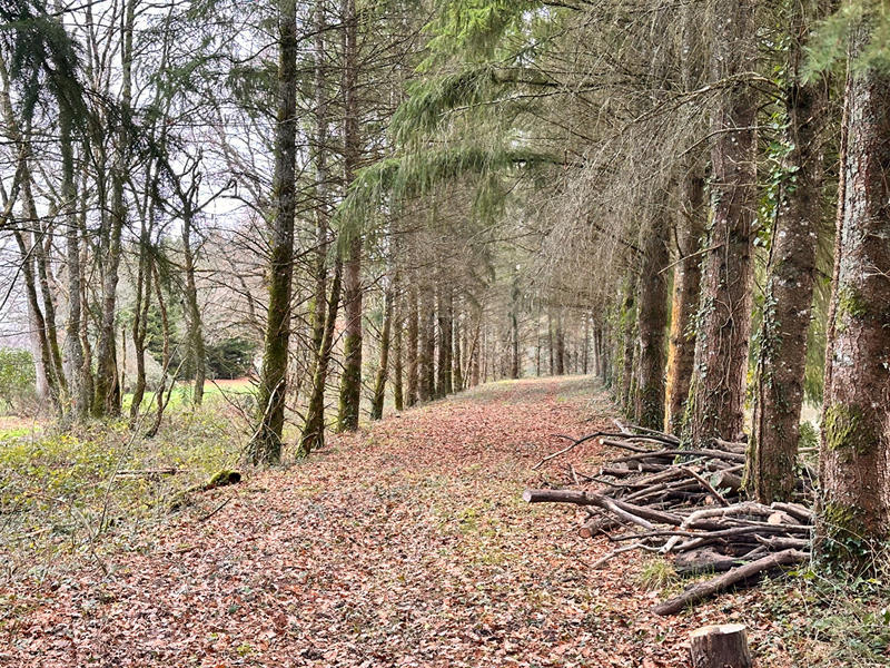 Terrain de loisirs - 23 143 m²