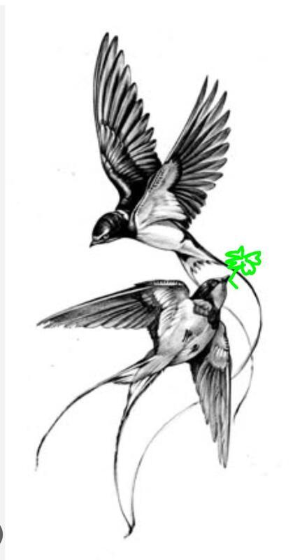 Vide maison le 21/12 de 9h à 12h