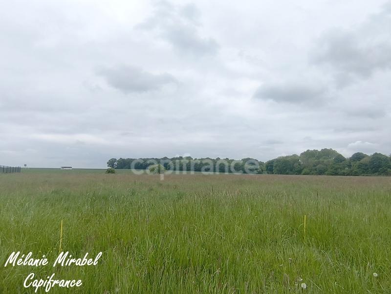 Terrain constructible - 1 115 m²