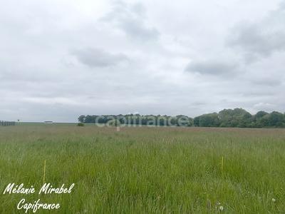 Terrain constructible - 1 115 m²