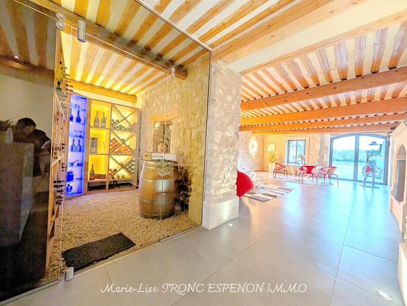 Mas - 471 m² - 15 pièces