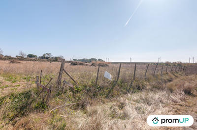 Terrain agricole - 5 000 m²