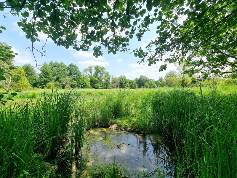 Immeuble - 642 m² - 20 pièces