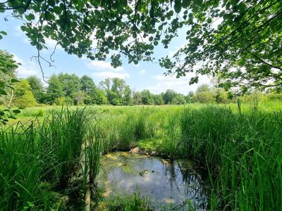 Immeuble - 642 m² - 20 pièces